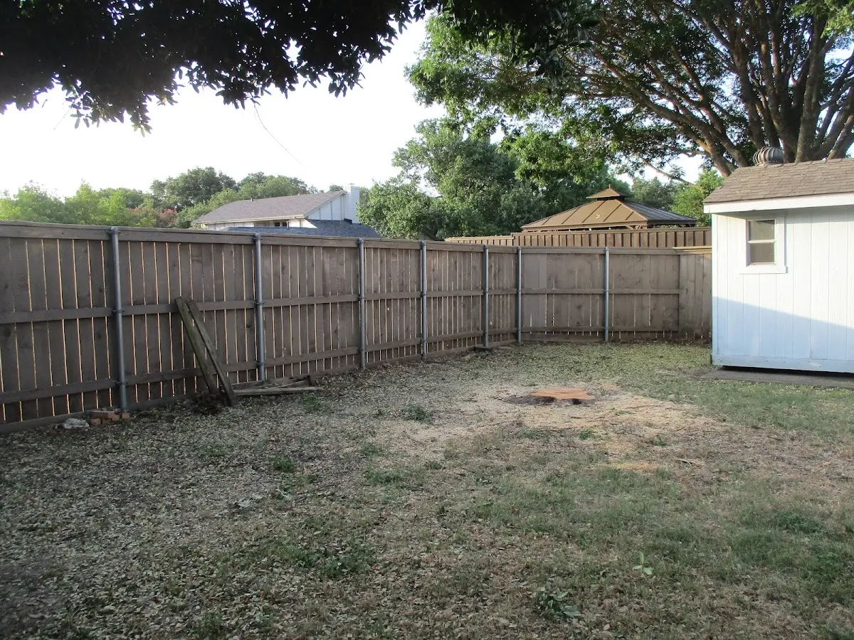 Cleared yard after professional tree removal in Port Allen